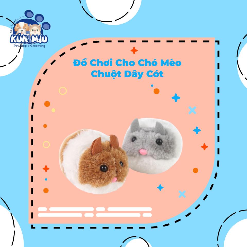 Đồ chơi cho chó mèo chuột dây cót