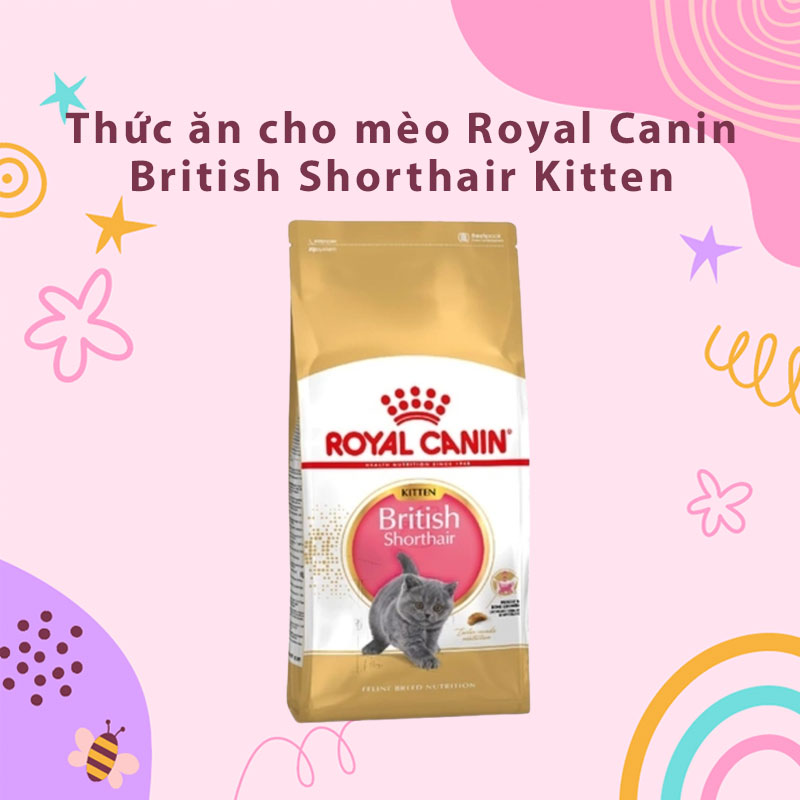 Thức ăn cho mèo Royal Canin British Shorthair Kitten