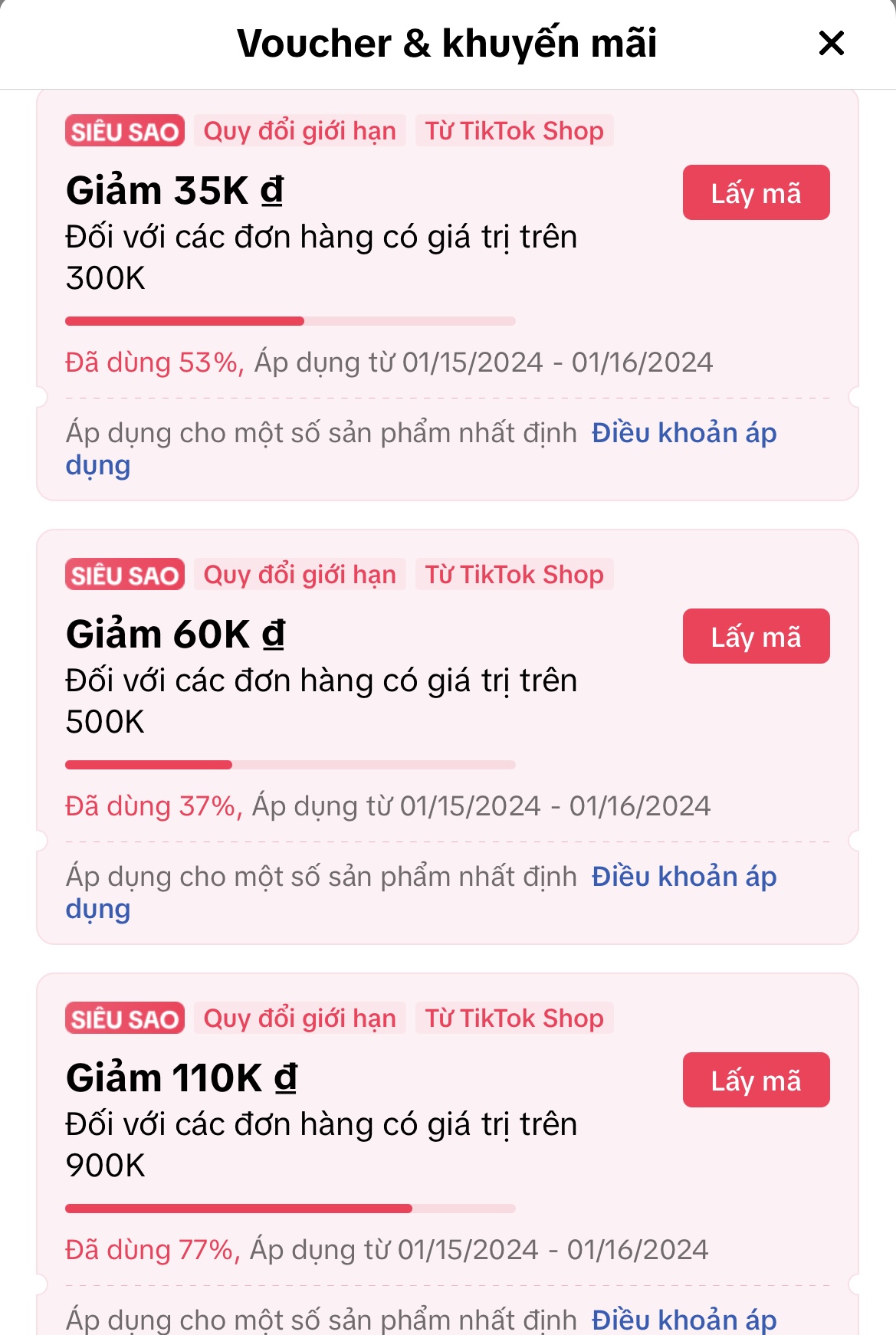 Sắm Tết Bừng Sắc Tháng 1 Cùng Tiktokshop