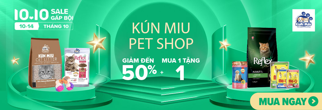 Lazada siêu sale 10.10