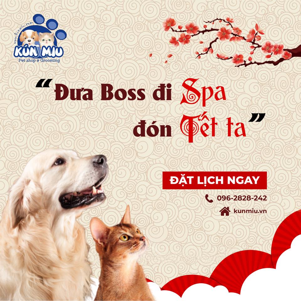 Đưa Boss đi Spa đón Tết ta