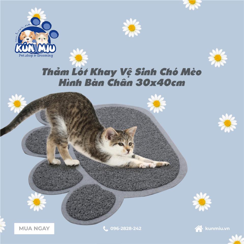 Thảm lót khay vệ sinh chó mèo hình bàn chân 30x40cm