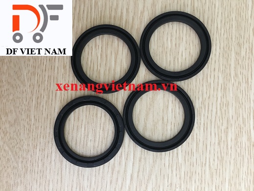 Phớt cao su DFS304025