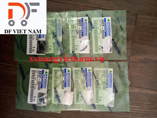 Bộ phớt Huyndai XKCF-00450