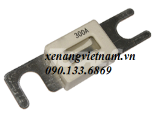 Cầu chì 300A