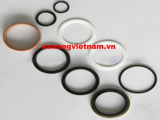 Phớt thủy lực xe nâng Heli/HangCha/EP/NobleLift