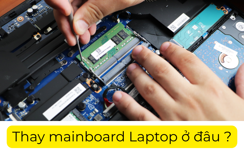 Thay Main Laptop Ở Đâu ?