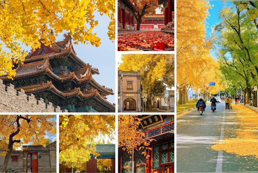 Top 5 công viên ngắm lá vàng mùa thu Bắc Kinh