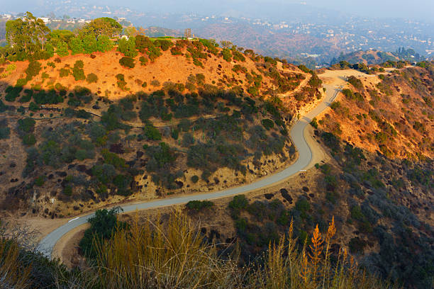 Những hoạt động thư giãn hấp dẫn tại Runyon Canyon Mỹ