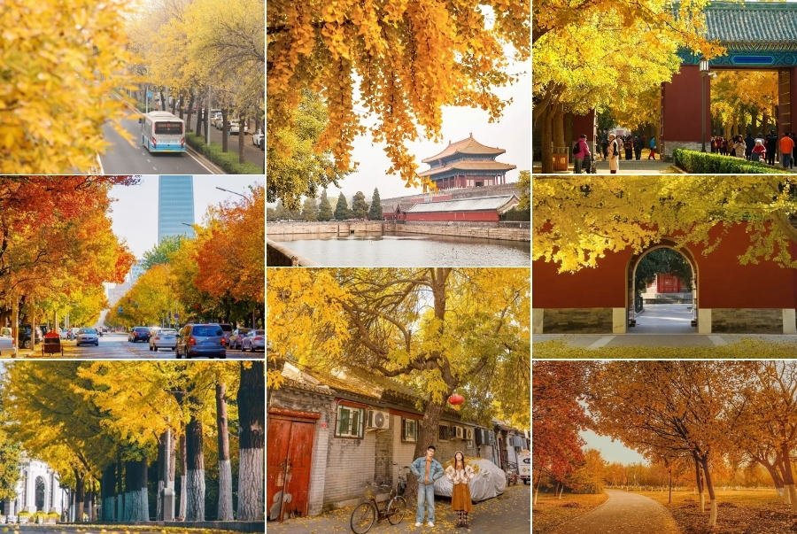 Đi du lịch Bắc Kinh mùa thu nên mặc gì?