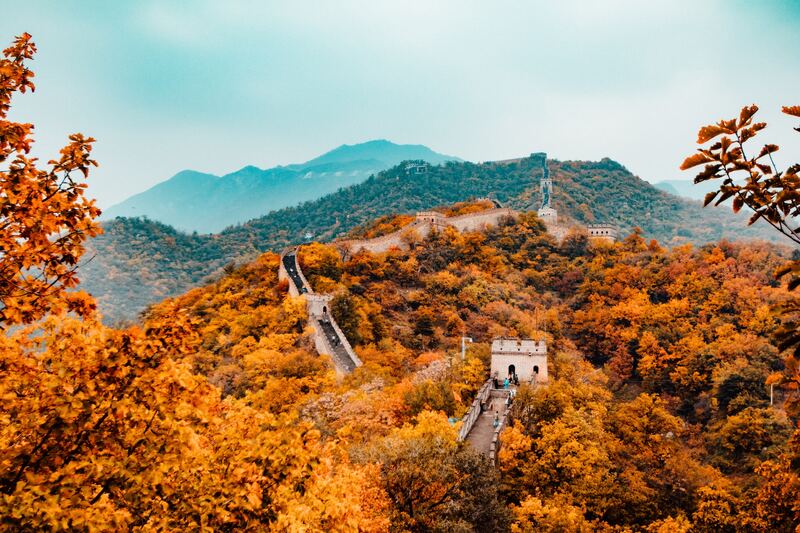 Đắm chìm trong sắc vàng Vạn Lý Trường Thành vào mùa thu