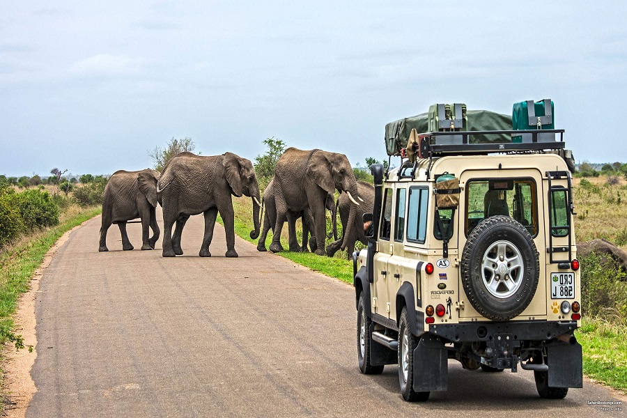 Tour du lịch Nam Phi - Vùng đất cầu vồng (9N8Đ)