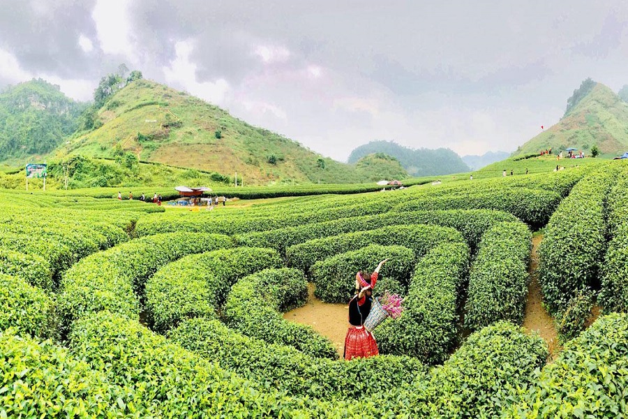 Tour Vòng cung Tây Bắc số 3 (4N3Đ)