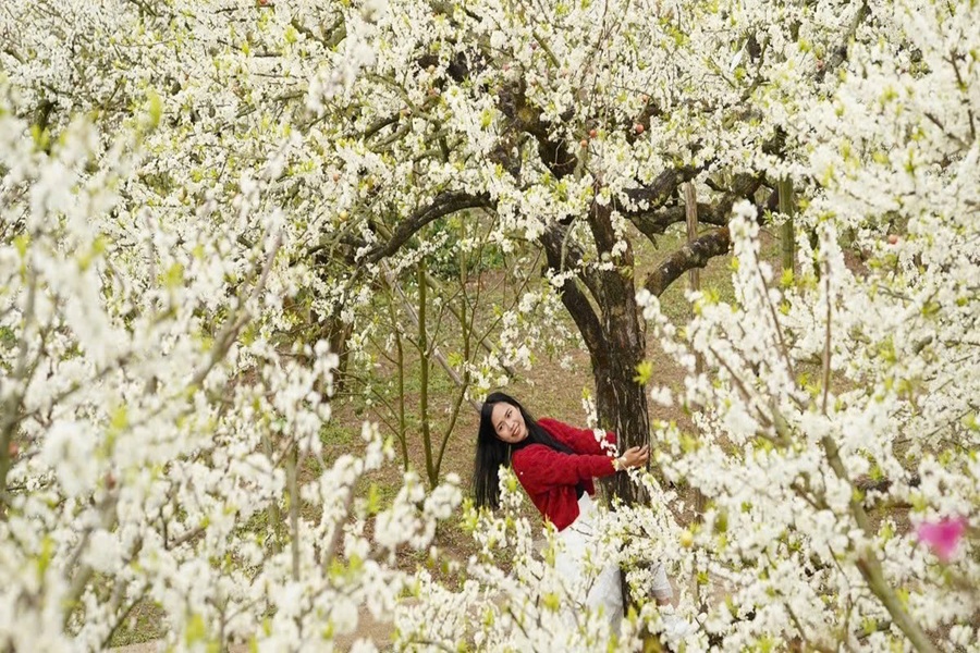 Tết ÂL 2026 Tây Bắc số 4 (Lai Châu - Điện Biên - Mộc Châu - Mai Châu) 3N3D