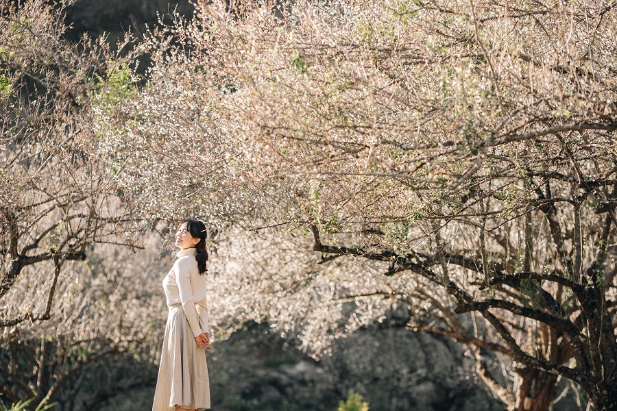 Tour Mai Châu – Mộc Châu – Cầu Kính Bạch Long (2N1Đ)