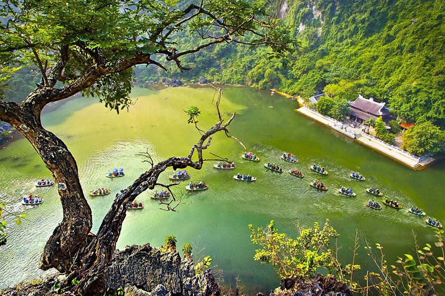 Rực rỡ Sắc màu Hoa Hướng Dương - Diễn Châu - KDL Safari Land - Bái Đính - Tràng An - Tết Dương lịch 2018