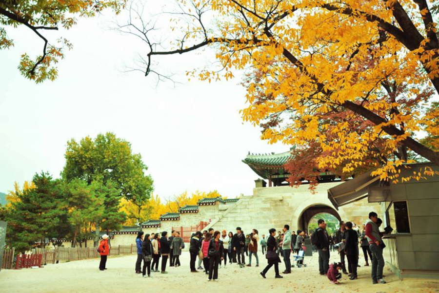 Seoul - Đảo Thiên Đường Jeju – Công Viên Everland – Đảo Nami - Tháp Truyền Hình Seoul (6N5D)
