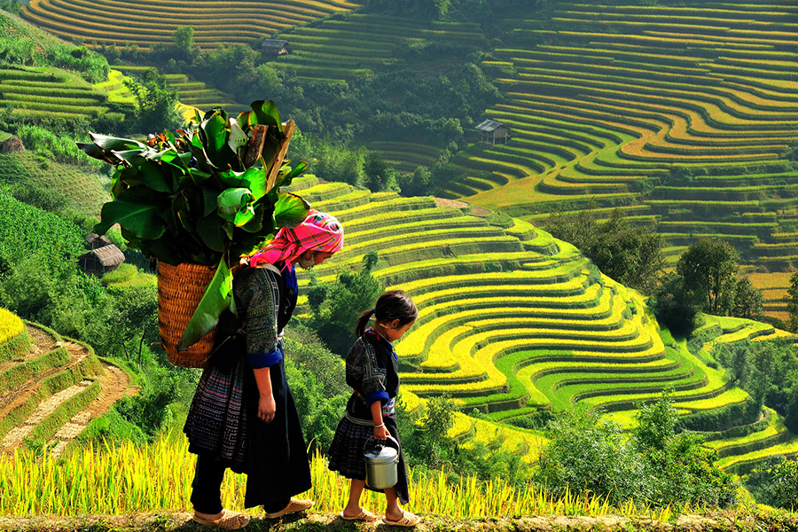 Sapa Cao Tốc - Đền Ông Hoàng Bảy - Tả Van, Tả Phìn, Cát Cát - Chinh phục Fansipan - Tết Dương lịch 2018