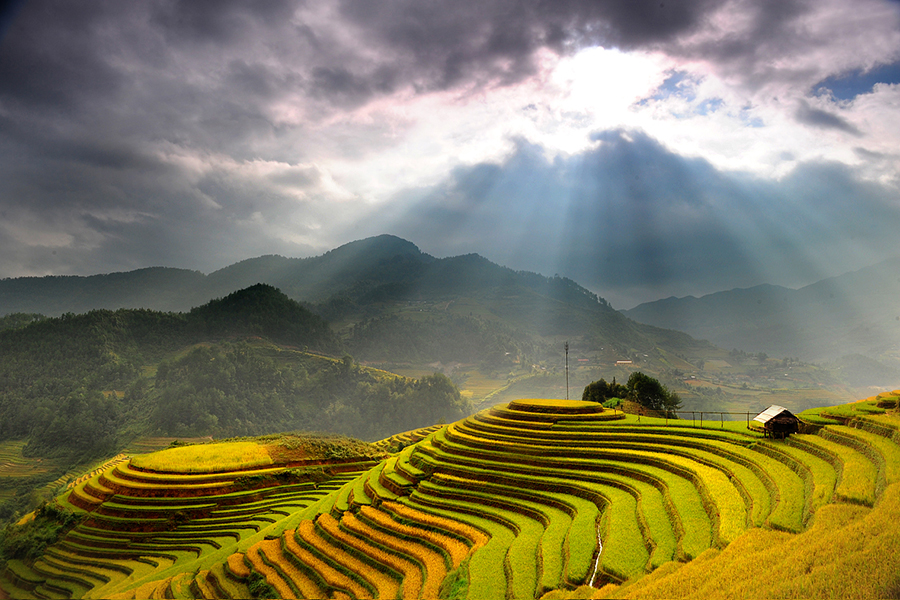 Hà Giang - Lũng Cú - Đồng Văn - Rực Rỡ Mùa Hoa Tam Giác Mạch - Tết Dương Lịch 2018 (3 Ngày)