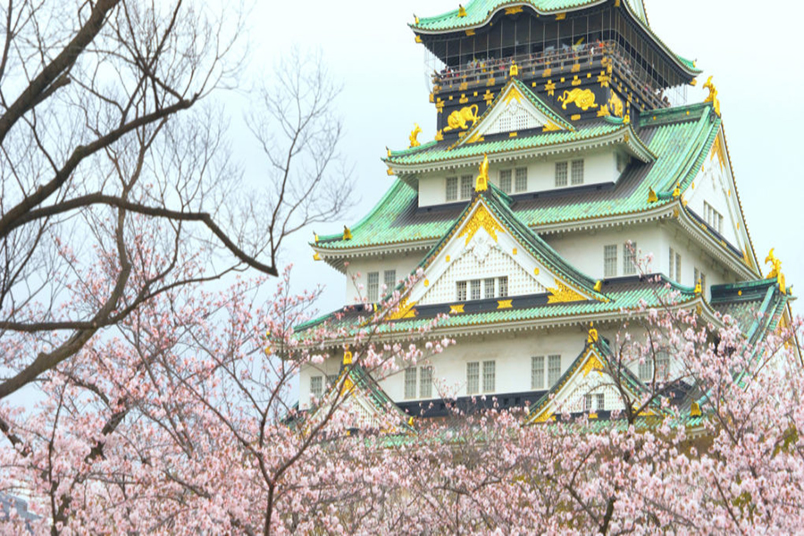 Tokyo - Phú Sỹ - Nagoya - Kyoto - Osaka - Lạc vào xứ sở hoa anh đào (6N5D)