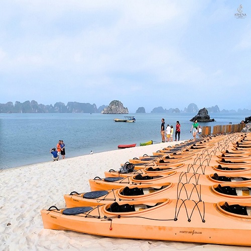 Du thuyền Signature Hạ Long Cruise