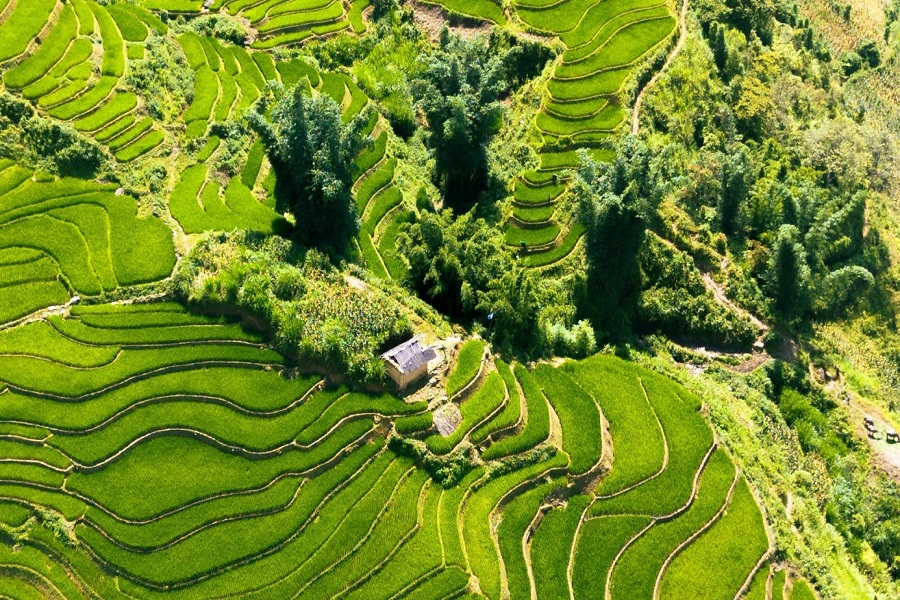 Tour  Sapa - Moana - Cát Cát - Fansipan - Y Tý - Lũng Pô (4N3Đ)