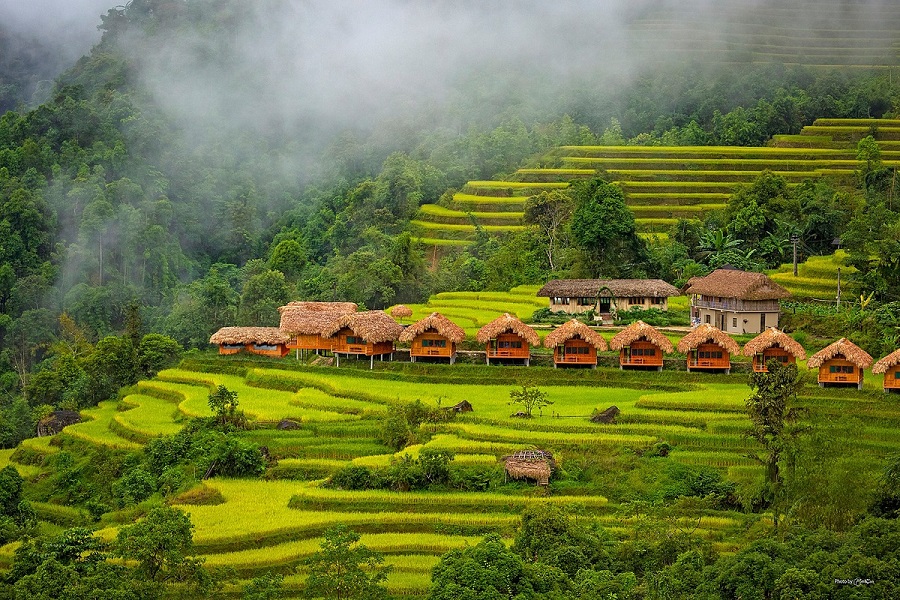 Tour Mù Cang Chải – Sa Pa – Fansipan – Lai Châu – Điện Biên – Mộc Châu – Mai Châu (5N4Đ)