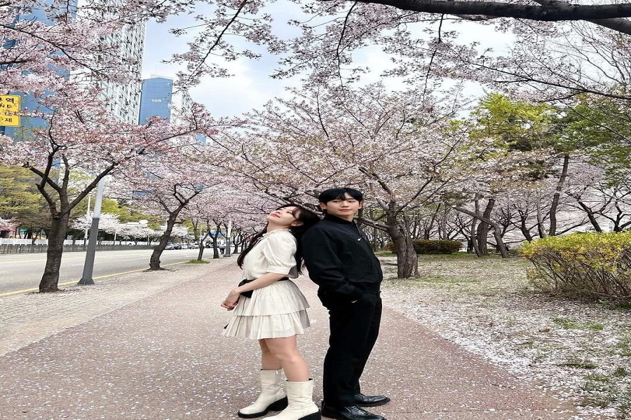 Tour Hà Nội - Seoul - Nami - Everland – Công Viên Yeouido (5N4Đ) Mùa hoa Anh đào