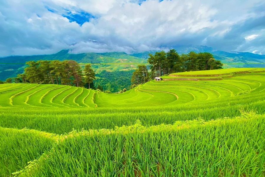 Tour Sa Pa – Lai Châu – Điện Biên – Mộc Châu – Mai Châu (4N3Đ)