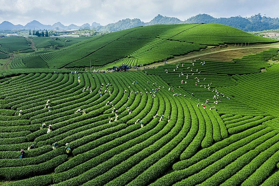 Tour Đông Bắc số 1 (5N4Đ)