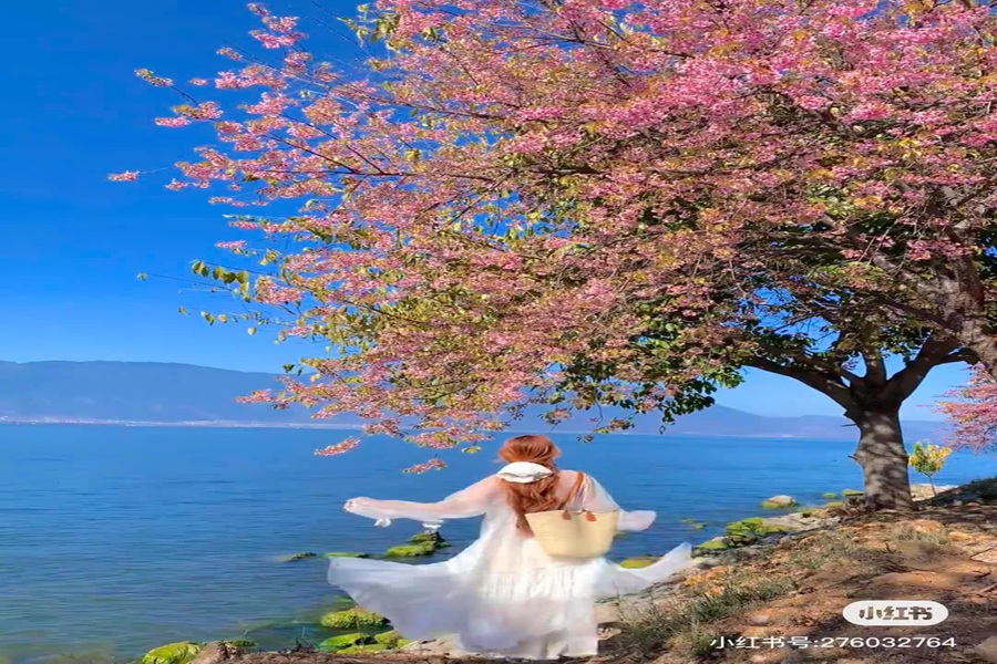 Tour Hà Khẩu - Đại Lý - Côn Minh - Santorini (4N4Đ)