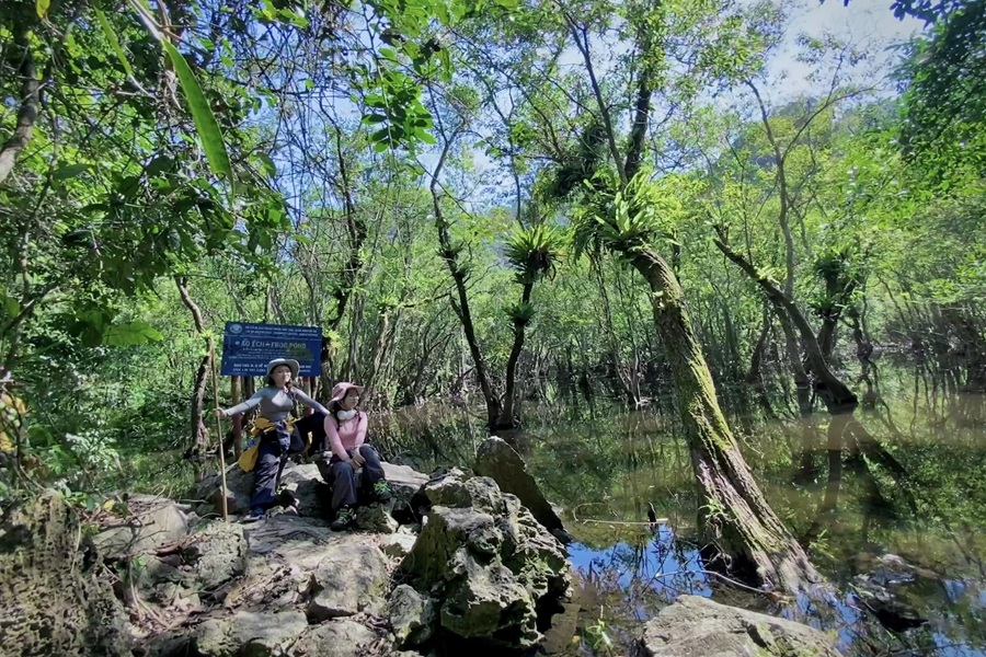 Tour du lịch Cát Bà 3N2Đ - Miễn phí vé cáp treo (Giá tour 2025)