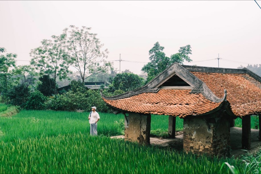 Tour Làng cổ Đường Lâm - Thành cổ Sơn Tây 1 ngày từ Hà Nội
