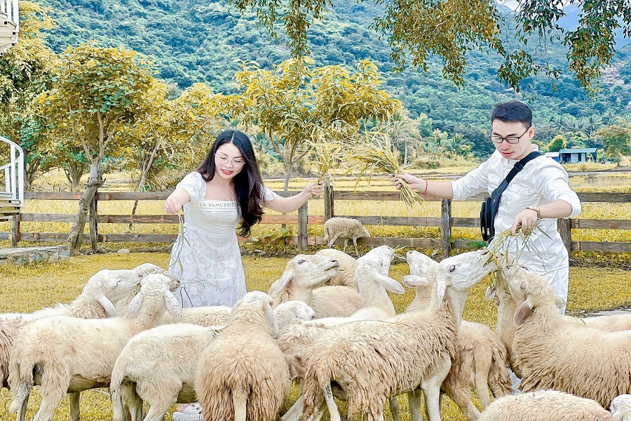 Tour Nha Trang - Ninh Thuận (4N3Đ)