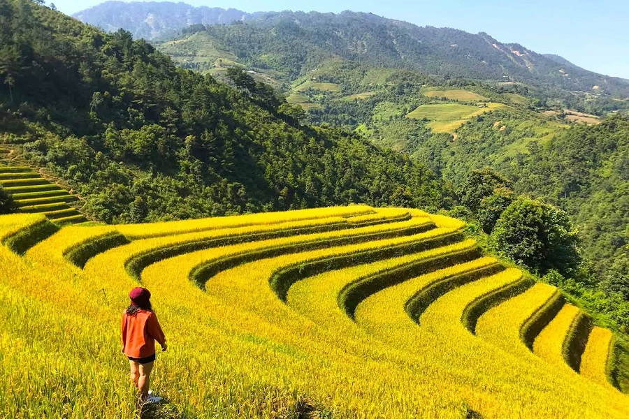 Tour Vòng cung Tây Bắc số 2 (4N4Đ)
