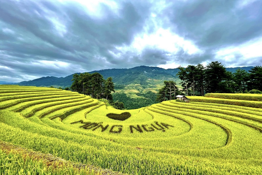 Tour Mù Cang Chải – Sa Pa – Fansipan – Lai Châu – Điện Biên – Mộc Châu – Mai Châu (5N4Đ)
