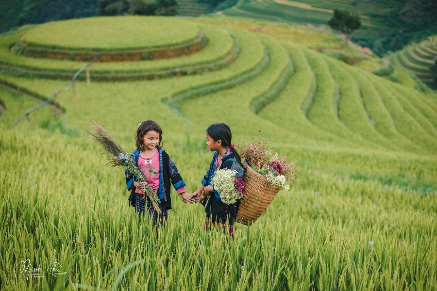 Tour Mù Cang Chải – Sa Pa – Fansipan – Lai Châu – Điện Biên – Mộc Châu – Mai Châu (5N4Đ)