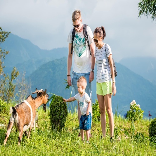 Combo 2N1Đ Topas Ecolodge