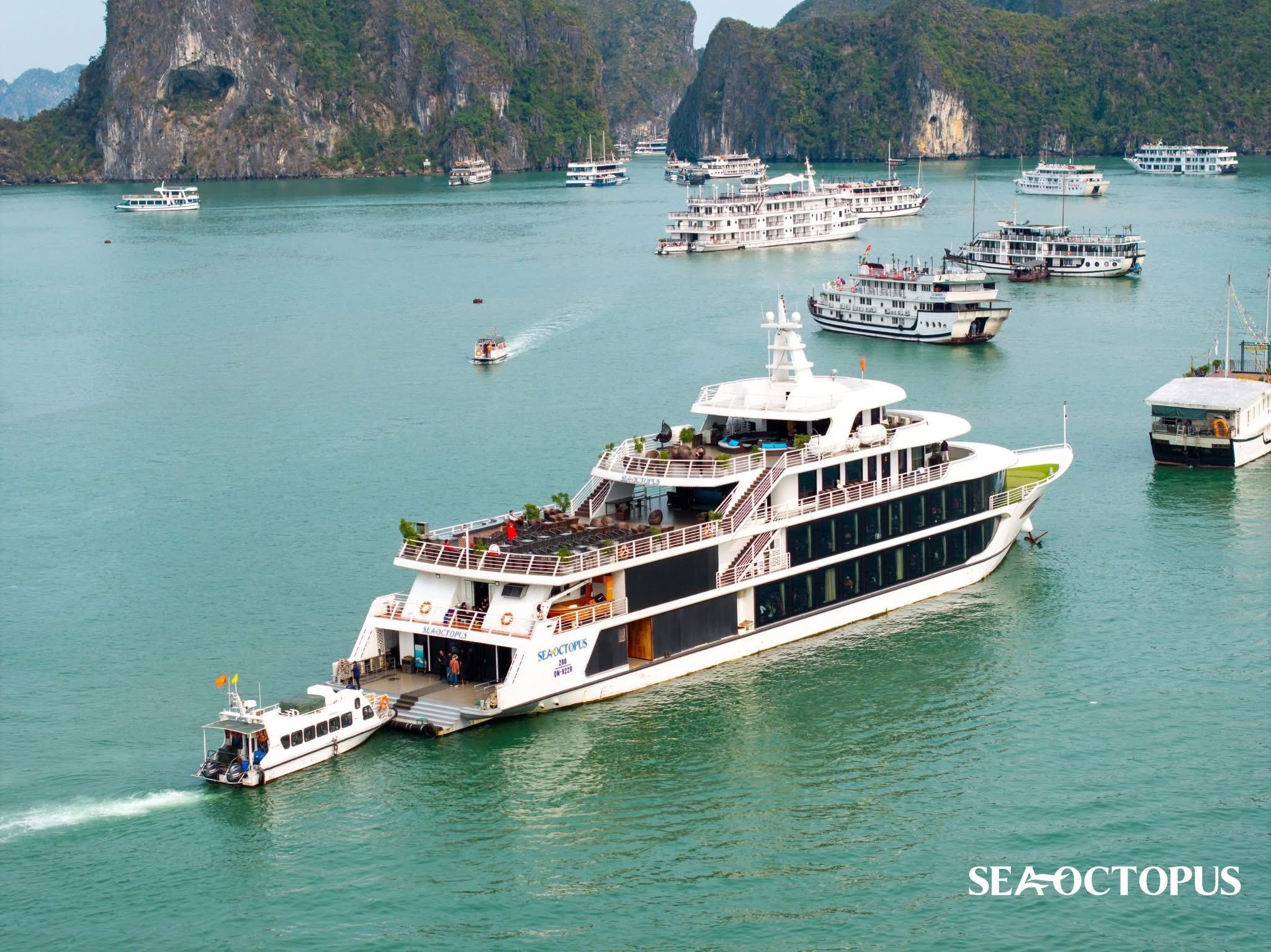 Tour vịnh Hạ Long 1 ngày: Tàu 5 sao + Đón - trả Hà Nội/Hải Phòng