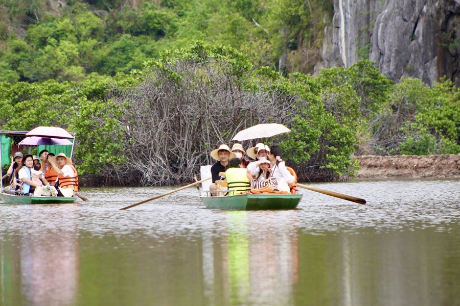 Tour nửa ngày khám phá rừng ngập mặn Phù Long - Cát Bà