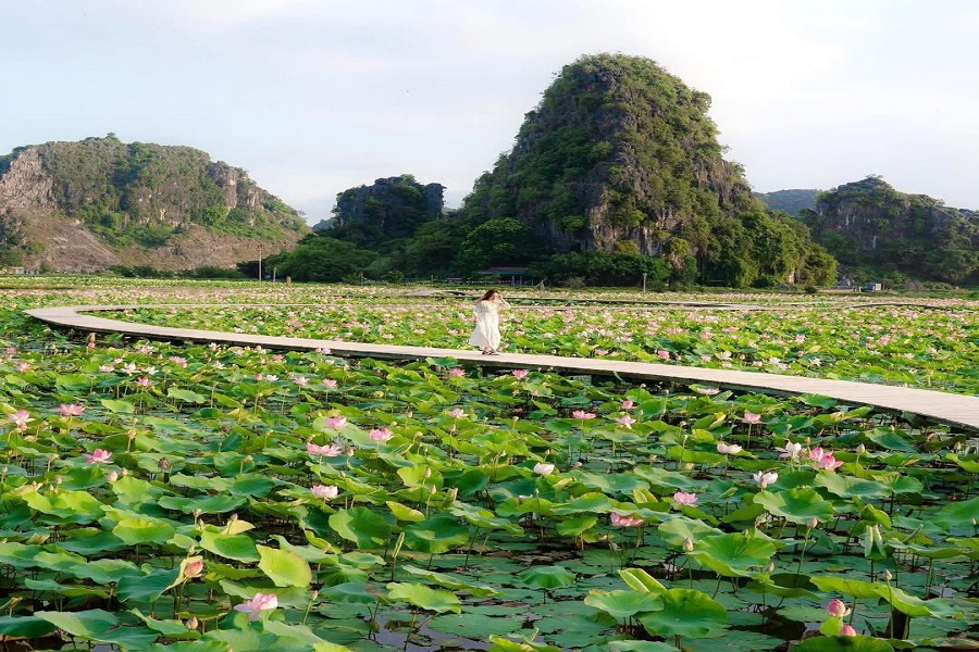 Tour Cố đô Hoa Lư – Tràng An – Hang Múa 1 ngày