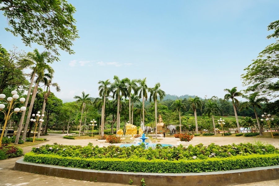 Tour Teambuilding tại Paragon Hill Resort 1 ngày từ Hà Nội