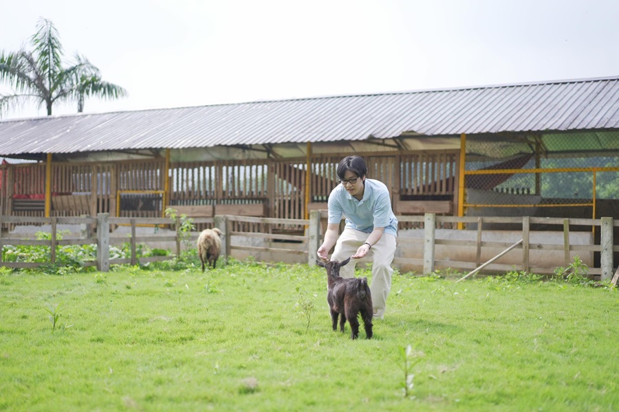 Tour Teambuilding tại Paragon Hill Resort 1 ngày từ Hà Nội