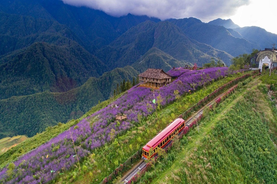 Tour Sapa: Hà Nội - Sapa - Cát Cát - Fansipan 2N1Đ