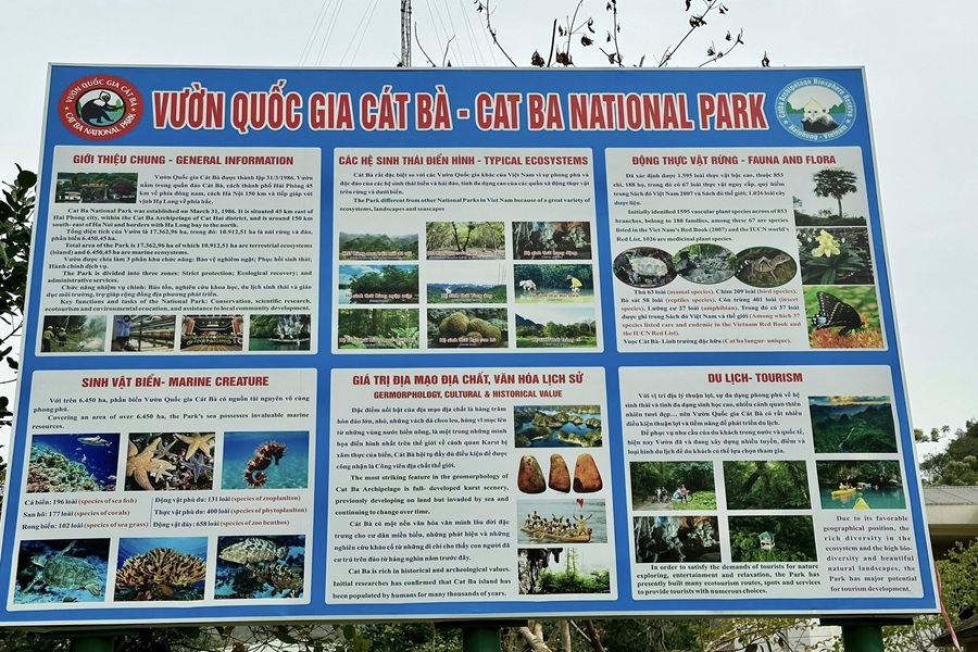 Tour Hạ Long - Cát Bà - Ninh Bình 4N3Đ: Miễn phí đón trả sân bay