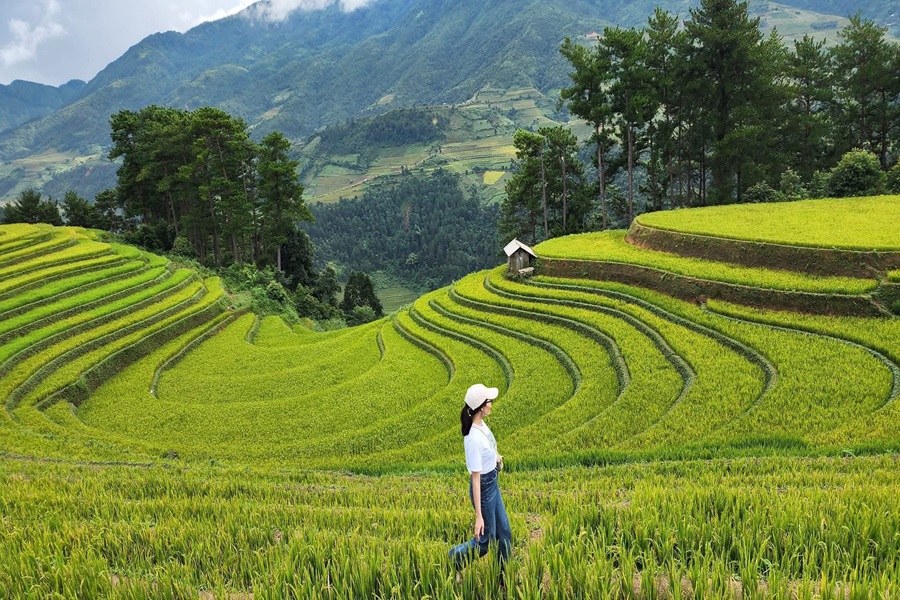HÀ NỘI - MÙ CANG CHẢI - TRẠM TẤU 3N2Đ - THỨ 6 HÀNG TUẦN