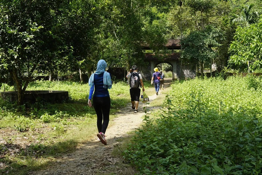 Tour Trekking- Ngủ rừng -Thăm vịnh Lan Hạ - Cát Bà 2 ngày 1 đêm