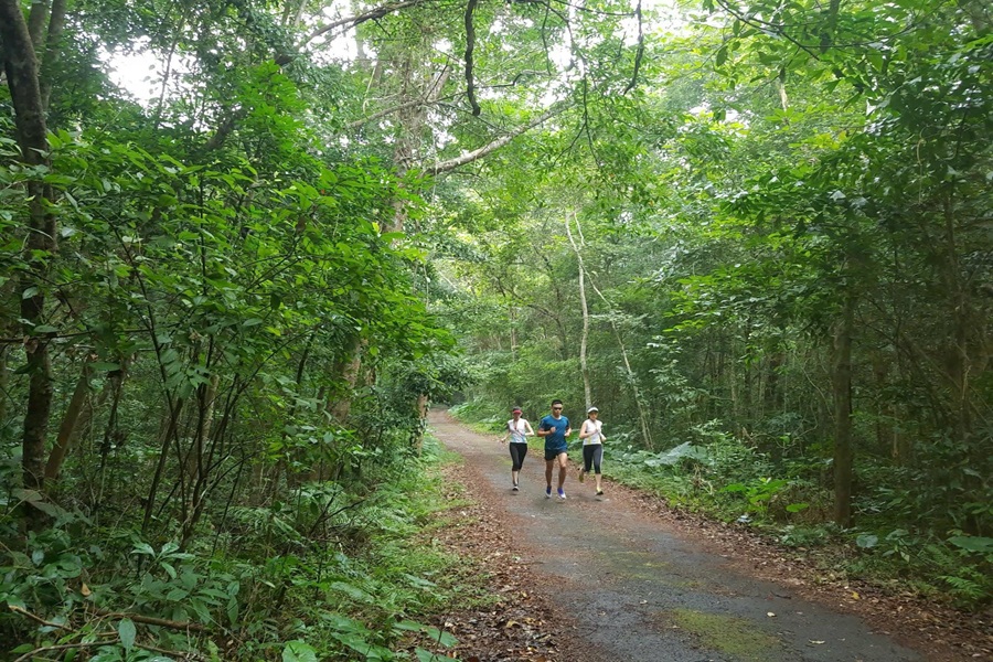 Tour trekking vườn quốc gia Cát Bà - Làng Việt Hải 1 ngày