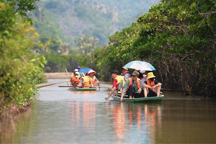 Tour nửa ngày khám phá rừng ngập mặn Phù Long - Cát Bà