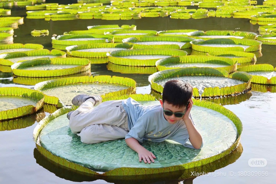 Tour Hà Nội - Nam Ninh - Thái Bình Cổ Trấn - Công viên Thanh Tú Sơn - Tương tư hồ trấn (3N2Đ)